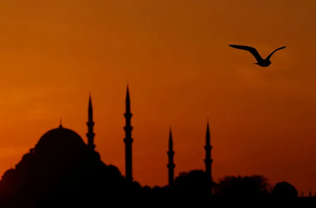A seagull flies over the Bosphorus as the sun sets over the Suleymaniye mosque in Istanbul, Turkey, November 14, 2017. (Photo by Murad Sezer/Reuters)