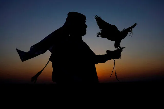 A man holds a falcon during a demonstration of falconry in Doha, Qatar on December 3, 2022. (Photo by Suhaib Salem/Reuters)