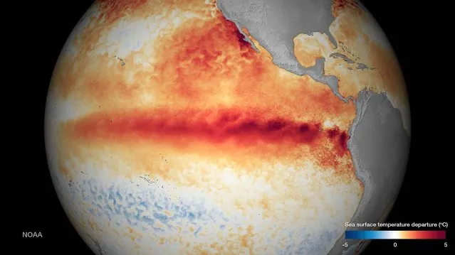 The sea surface temperature departure is seen in an undated NOAA image released October 9, 2015.  El Nino is strengthening and likely to peak in late fall or early winter, and gradually weaken through spring 2016, according to a NOAA news release. (Photo by Reuters/NOAA)