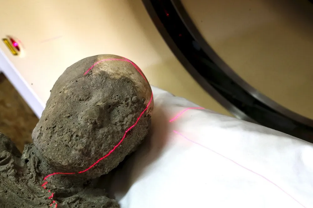 Frozen Lives of Pompeii