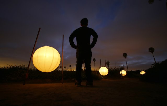 Makoto Chino looks out over his family's farm at dusk in Rancho Santa Fe, California  August 14, 2014. In keeping with Japanese tradition, the lanterns guide family ancestors to the home, welcoming them to visit during the Obon Festival. (Photo by Mike Blake/Reuters)