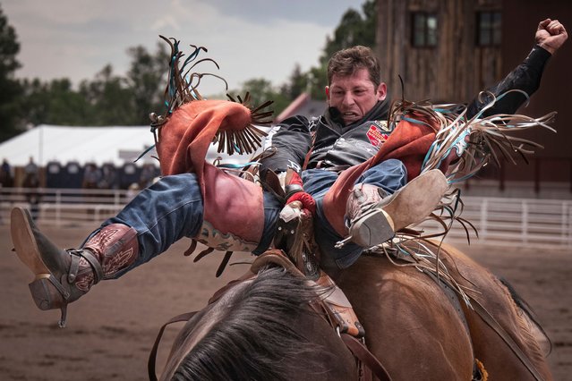 Kade Sonnier competes in bareback riding during the 129th anniversary Cheyenne Frontier Days Rodeo in Wyoming on July 23, 2025. (Photo by Milo Gladstein/Wyoming Tribune Eagle via AP Photo)