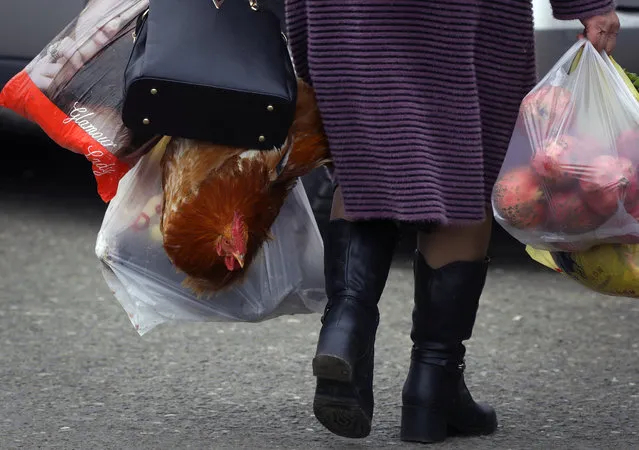 A woman carries her purchases and chicken at the market in Stepanakert, the capital of the separatist region of Nagorno-Karabakh, on Saturday, November 21, 2020. Ethnic Armenians return to a normal life after a Russia-brokered cease-fire was signed between Armenia and Azerbaijan. (Photo by Sergei Grits/AP Photo)