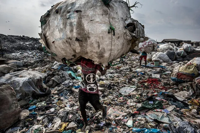 Environment – stories, first prize. A man carries a huge bag of bottles collected for recycling at the Olusosun landfill site in Lagos, Nigeria. (Photo by Kadir Van Lohuizen/Noor Images/World Press Photo)