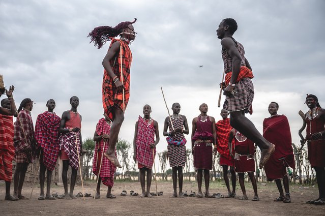 Maasai villagers perform the traditional dance in a village in the Masai Mara National Reserve in Narok, Kenya, on August 21, 2024. Maasai, one of the major tribes in Kenya, is mainly scattered in the south and southwest parts bordering Tanzania. The tribe is still living in nomadic way. Their settlement covers the world-famous tourist destinations of Masai Mara National Reserve and Serengeti National Park. With the development of local tourism industry, the Maasai people have opened their villages to embrace the tourists, as a way of increasing their income while maintaining their traditional lifestyle. (Photo by Xinhua News Agency/Rex Features/Shutterstock)