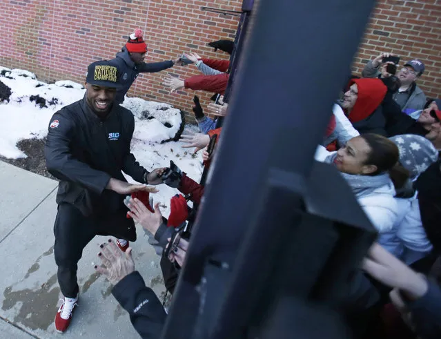 Ohio State football players high-five fans outside the Woody Hayes Athletic Center on The Ohio State University campus Tuesday, January 13, 2015, in Columbus, Ohio. Ohio State defeated Oregon 42-20 in the National Championship football game. (Photo by Tony Dejak/AP Photo)