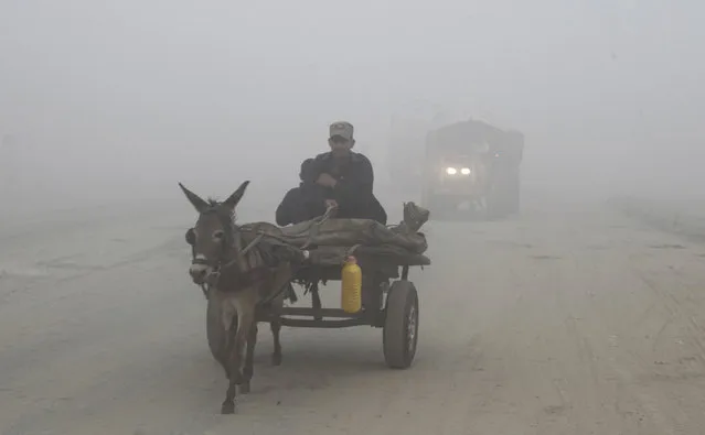 A Pakistan rides his donkey-cart though a road while dense smog engulf the neighborhood of Lahore, Pakistan, Saturday, November 5, 2016. Thick smog has engulfed several cities in central Pakistan for few days, causing, breathing problems, road accidents and disruption of flight and train scheduled as well as the closure of the sections of the main motorways. (Photo by K.M. Chaudary/AP Photo)