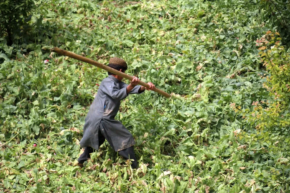 A Look at Life in Afghanistan