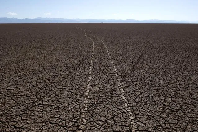 Marks of car tires are seen on the dried Poopo lakebed in the Oruro Department, south of La Paz, Bolivia, December 17, 2015. (Photo by David Mercado/Reuters)
