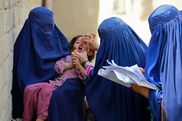 Afghan burqa-clad women health workers administer polio vaccine drops to a child during a campaign in Jalalabad on August 21, 2023. (Photo by Shafiullah Kakar/AFP Photo)
