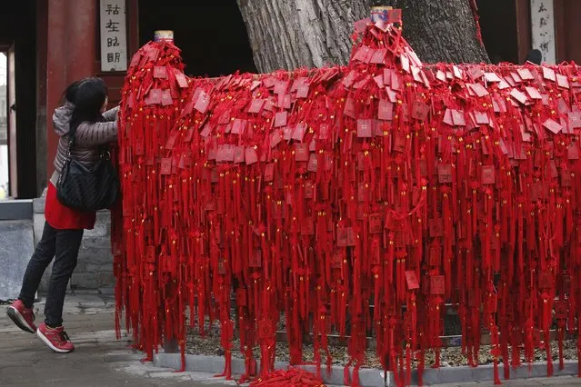 A woman hangs wish tablets, traditionally used to pray for wealth and good fortune, on a fence built around a tree on the third day of the Chinese Lunar New Year during the temple fair for the Chinese New Year celebrations at Dongyue Temple in Beijing, February 21, 2015. (Photo by Kim Kyung-Hoon/Reuters)