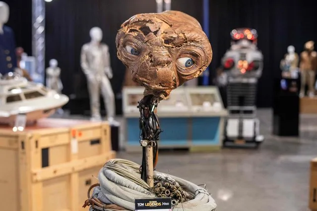 The special effects head of E.T. is displayed during Julien's Auction's press preview ahead of the public exhibition and auction “Hollywood Legend” presented by Julien’s Auction and Turner Classic Movies (TMC) on December 11, 2023 at Julien's Auction in Gardena, California. (Photo by Valerie Macon/AFP Photo)