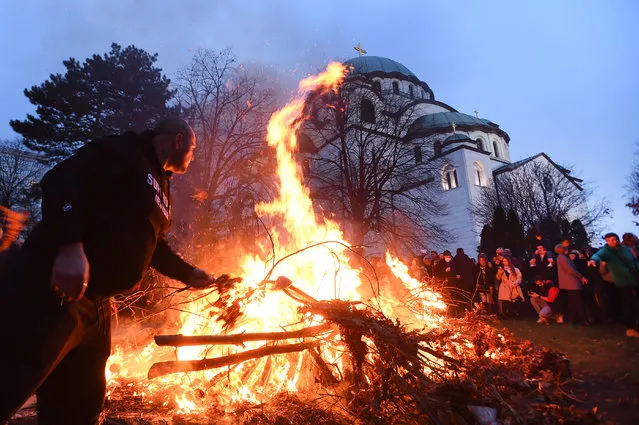 A man approaches a bonfire during the annual ceremony of bonfire of dried oak branches, the Yule log symbol for the Orthodox Christmas eve according to the Julian calendar, at the Church of Saint Sava in Belgrade on January 6, 2024. (Photo by Tara Radovanović/Tanjug)