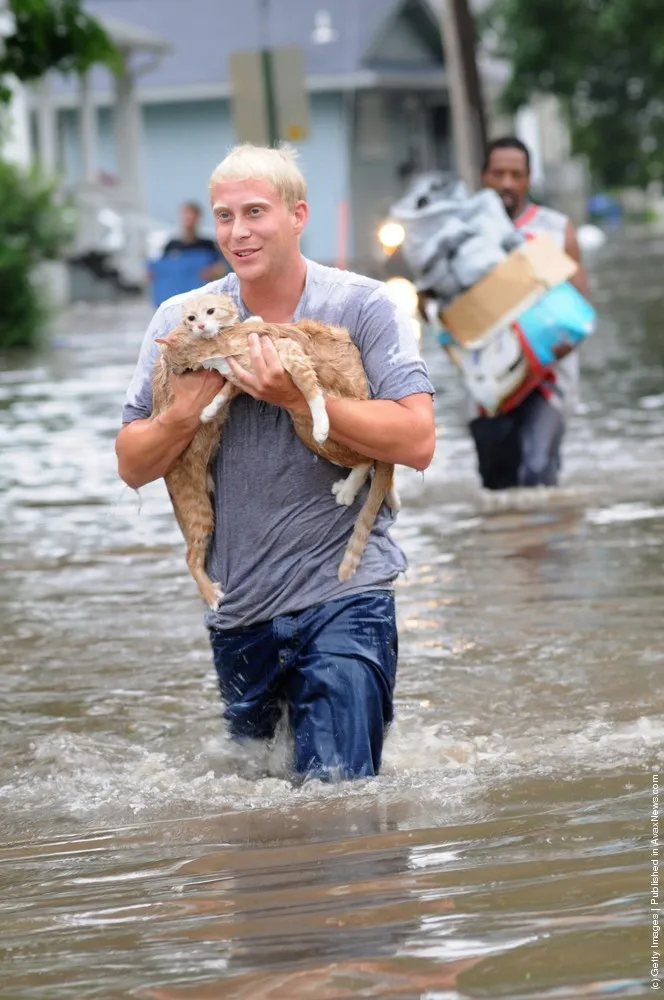 Don't Forget About The Animals During Flooding!