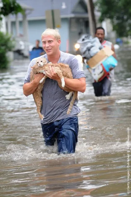Brandon Smith carries his two cats, Fry and Bender, to dry land from their flooded and evacuated home on June 11, 2008 in Cedar Rapids, Iowa