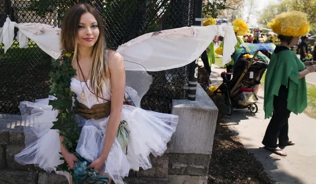 At the May Day Parade on May 3, 2015 along Bloomington Ave, Minneapolis, Xaria Anthony,20, was to read to be a fairy with the outfit she made. (Photo by Richard Tsong-Taatarii/The Star Tribune)