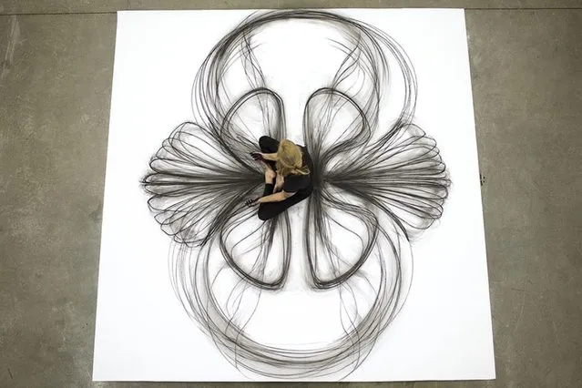 Drawing By Heather Hansen