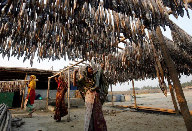 Bangladeshi women work in a dry fish processing yard in Cox's Bazar, Bangladesh April 13, 2017. (Photo by Mohammad Ponir Hossain/Reuters)