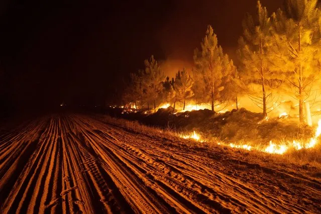 A fire consumes a forest near Ituzaingo in the Corrientes province of Argentina, Saturday, February 19, 2022. Fires have burnt over half-a-million hectares. (Photo by Rodrigo Abd/AP Photo)