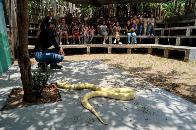  Children watch a snake in the Ecopark in Barranquilla, Colombia on March 18, 2022. Colombia is the second most biodiverse country in the world and Ornella Bayona (34, who created an ECOPARK to improve animals quality of life and interaction with people, has spent her life since 2015 rescuing and caring for monkeys, birds, pigs, raccoons and any wild or domestic animal that is abandoned or rescued. 1,203 species that are threatened in the country, 407 are animals, according to the WWF (World Wide Fund for Nature). (Photo by David Moran/Anadolu Agency via Getty Images)