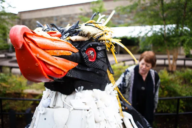 Artist Angela Haseltine Pozzi looks over Zarabelle the Rockhopper penguin outside the elephant house at the National Zoo in Washington, DC on May 23, 2016. (Photo by Keith Lane/The Washington Post)