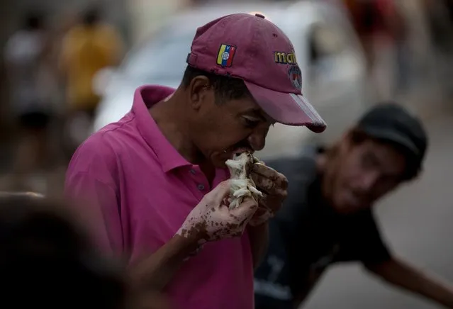 In this June 2, 2016 photo, a man eats a guanabana he found in a garbage bag outside a supermarket in downtown Caracas, Venezuela. People who consider themselves middle class even though their living standards have long ago been pulverized by triple-digit inflation, food shortages and a collapsing currency converge on the Caracas sidewalk to pick through rotten fruit and vegetables tossed out by nearby shops. (Photo by Fernando Llano/AP Photo)