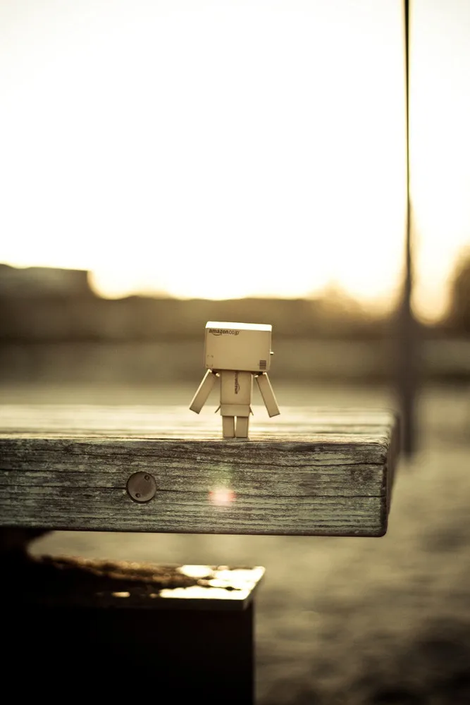 Wonderful Danbo!