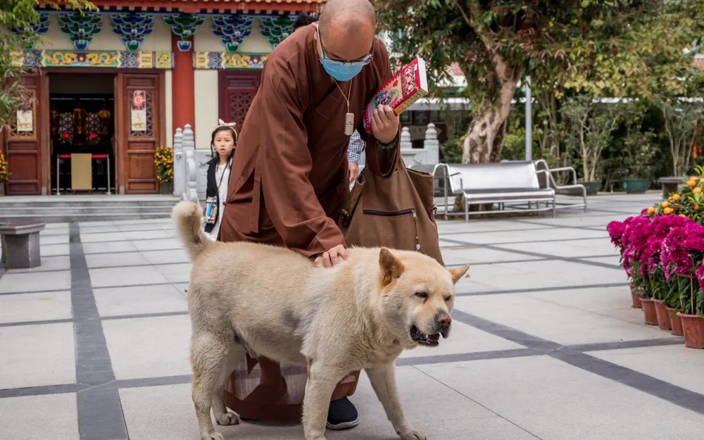 News from China, Part 2/2