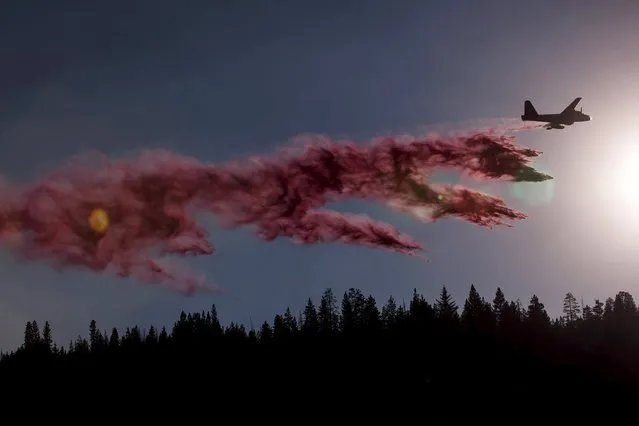 A firefighting plane drops retardant ahead of the so-called “Rough Fire” in the Sequoia National Forest, California, August 21, 2015. (Photo by Max Whittaker/Reuters)