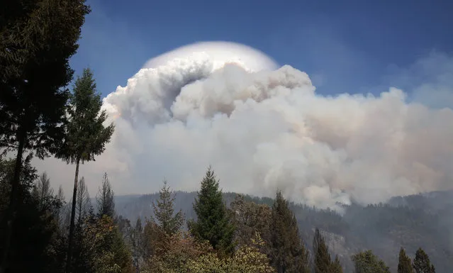 Smoke from a wildfire rises into the sky near Pollack Pines, Calif., Monday, September 15, 2014. The fire, which started Sunday has consumed more than 3,000 acres and forced the evacuation of dozens of homes. (Photo by Rich Pedroncelli/AP Photo)