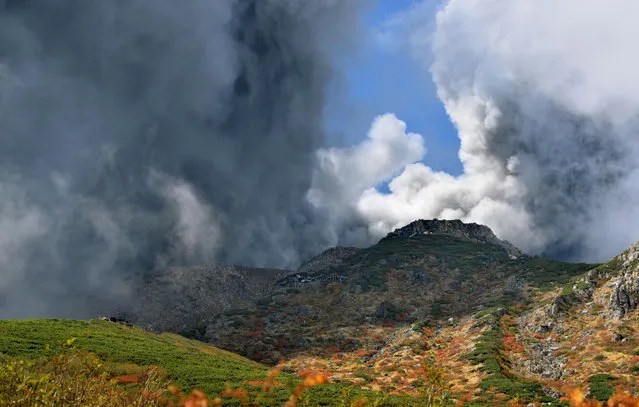 In this photo taken by an anonymous climber and was offered to Kyodo News, dense plumes rising from the summit crater of Mount Ontake cover the slope carpeted by autumn colored leaves  after the volcanic mountain erupted in central Japan, Saturday, September 27, 2014. (Photo by AP Photo/Kyodo News)