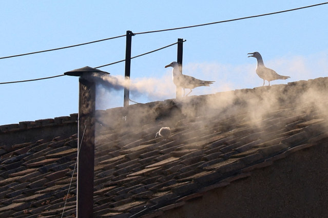 White smoke rises from the chimney on the Sistine Chapel indicating that a new pope has been elected, at the Vatican, on May 8, 2025. (Photo by Murad Sezer/Reuters)