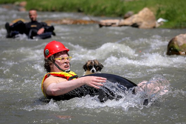 A sport enthusiast holding his dog competes during the tyre festival “Bunar Fest” as he navigates rocky obstacles while floating on inner tyre tubes in the chilly Lumbardhi river, in Prizren, Kosovo on June 1, 2025. (Photo by Valdrin Xhemaj/Reuters)
