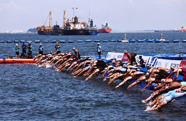 Competitors dive into the water at the start of the open water swimming race at the World Aquatics Championships in Singapore on July 16, 2025. (Photo by Tingshu Wang/Reuters)