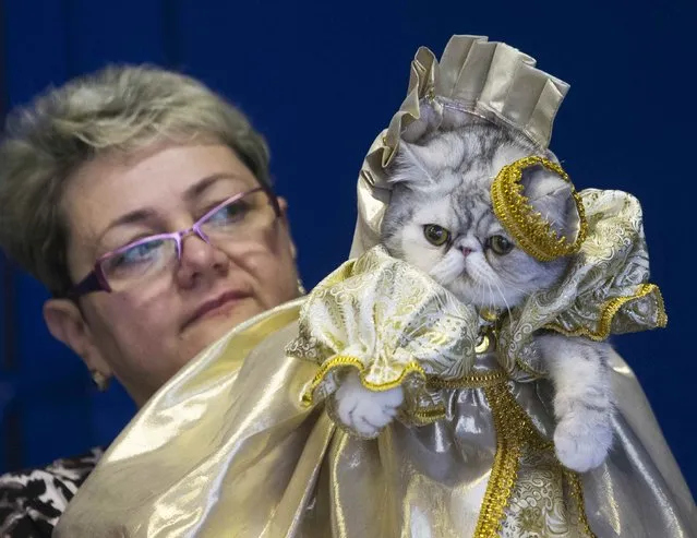 A woman holds a dressed cat during the exhibition “Autumn-2014” in Minsk, November 23, 2014. (Photo by Vasily Fedosenko/Reuters)