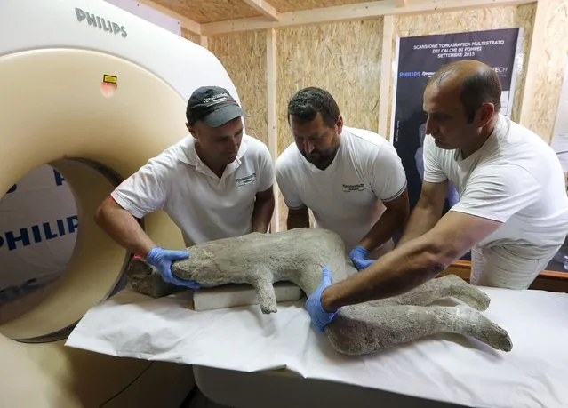Researchers prepare the plaster cast mould of a Roman boy from an ancient Roman city as they put the body through a CAT (Computerised Axial Tomography) scan in Pompeii, September 29, 2015. (Photo by Ciro De Luca/Reuters)