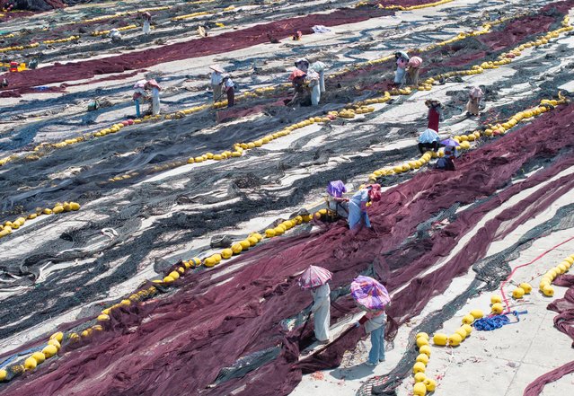 Aerial view of workers repairing fishing nets in preparation for a new round of fishing season on July 27, 2025 in Wenling, Taizhou City, Zhejiang Province of China. (Photo by Zhu Haiwei/Zhejiang Daily Press Group/VCG via Getty Images)