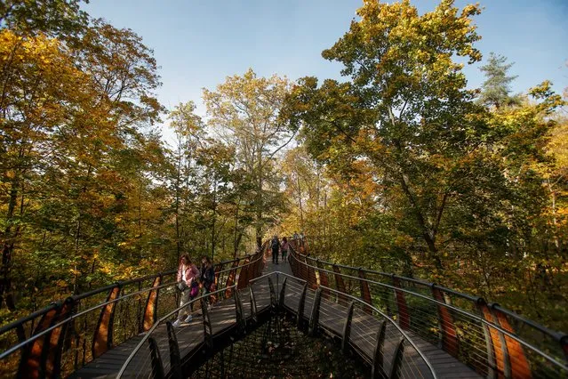 People walk on a pedestrian bridge in the woods during sunny autumn weather in Moscow, Russia on October 6, 2020. (Photo by Maxim Shemetov/Reuters)