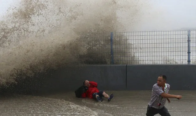 A visitor falls after trying to run away from a wave caused by a tidal bore which surged past a barrier on the banks of Qiantang River, in Hangzhou, Zhejiang province, August 14, 2014. (Photo by Reuters/Stringer)