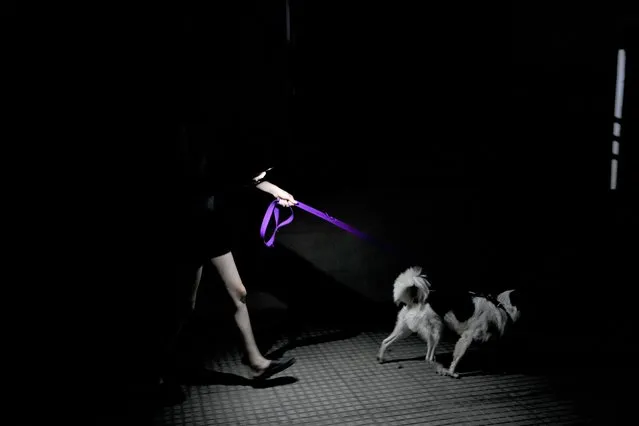A resident walks her dog during a power outage amid a heat wave in Buenos Aires, Argentina, Tuesday, March 14, 2023. (Photo by Natacha Pisarenko/AP Photo)