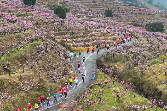 This photo taken on March 19, 2023 shows runners taking part in the Fenghua marathon among peach flowers in Ningbo, in China's eastern Zhejiang province. (Photo by AFP Photo/China Stringer Network)