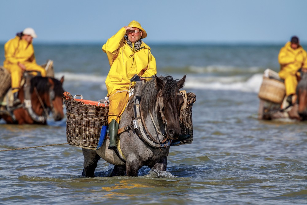 Pictures of the Year 2024, Part 168/240