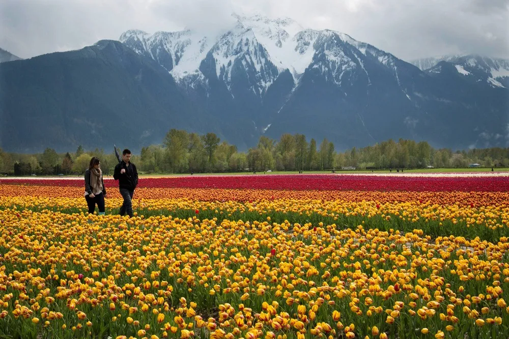 Simply Some Photos: Man in the Landscape