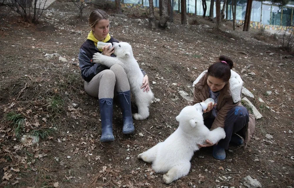 A Look at Life in Russia, Part 1/2