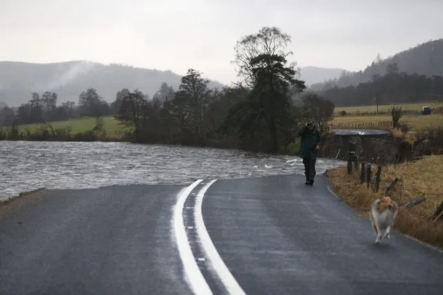 A man walks his dog near section of the A93 between Ballater and Braemar near Crathie which has collapsed into the river Dee in Aberdeenshire, Scotland, Britain January 4, 2016. (Photo by Russell Cheyne/Reuters)
