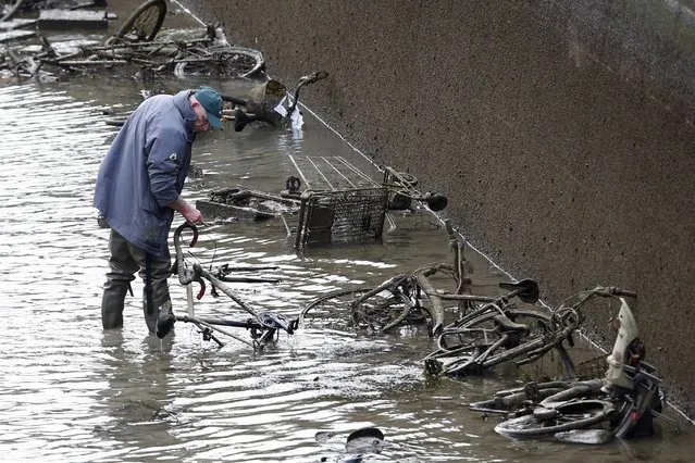 A worker wades in the water as he inspects abandoned bicycles during the draining of the Canal Saint-Martin in Paris, France, January 5, 2016. Authorities start a three-month cleanup operation of the canal St-Martin, in north-eastern Paris, in an attempt to refurbish its locks and remove rubbish. (Photo by Charles Platiau/Reuters)
