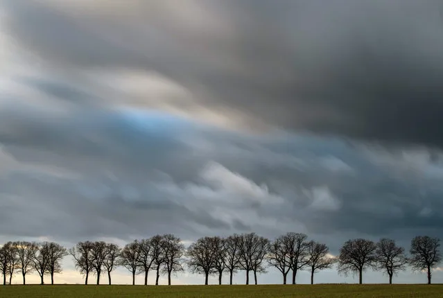 Clouds move through the sky over Sieversdorf, Germany, 18 November 2015. They are predicted to be escalating to Cyclone Heini. (Photo by Patricl Pleul/EPA)