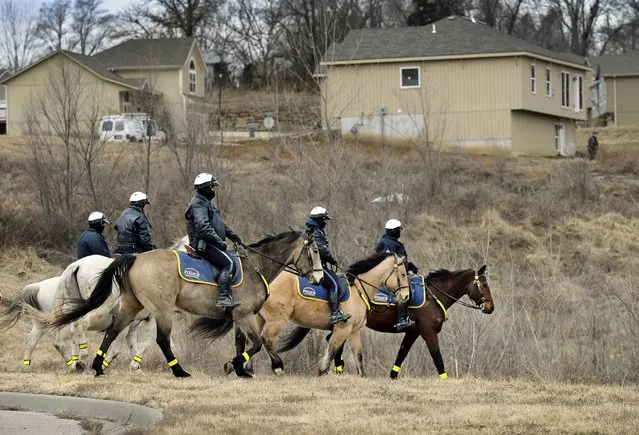 Members of the Kansas City Mounted Patrol helped Wyandotte County law enforcement search for suspects on Wednesday, March 4, 2015, in Kansas City, Kan. Wyandotte County officials say an off-duty deputy was shot and critically wounded when he walked into a convenience store early Wednesday during an armed robbery. (AP Photo/The Kansas City Star, Keith Myers)