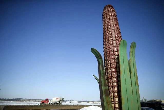 A metal sculpture in the shape of a corn cob is seen near a road in Iowa City, Iowa,  March 6, 2015. (Photo by Jim Young/Reuters)