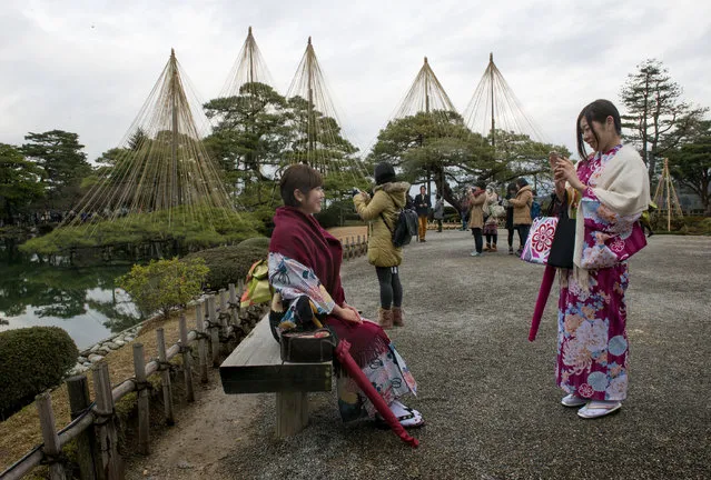Young women clad in Kimonos take photos in front of the Karasakinomatsu Pine trees in Kenrokuen Garden in Kanazawa, Japan on January 8, 2016. Because Kanazawa gets heavy snow in the winter, branches are supported by a teepee-shaped bamboo and rope structure to protect them from breaking. (Photo by Linda Davidson/The Washington Post)